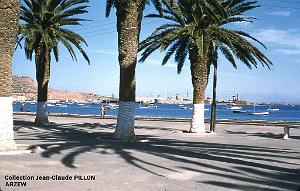 Arzew 182- Pillon